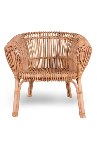 Teluk Arm Chair